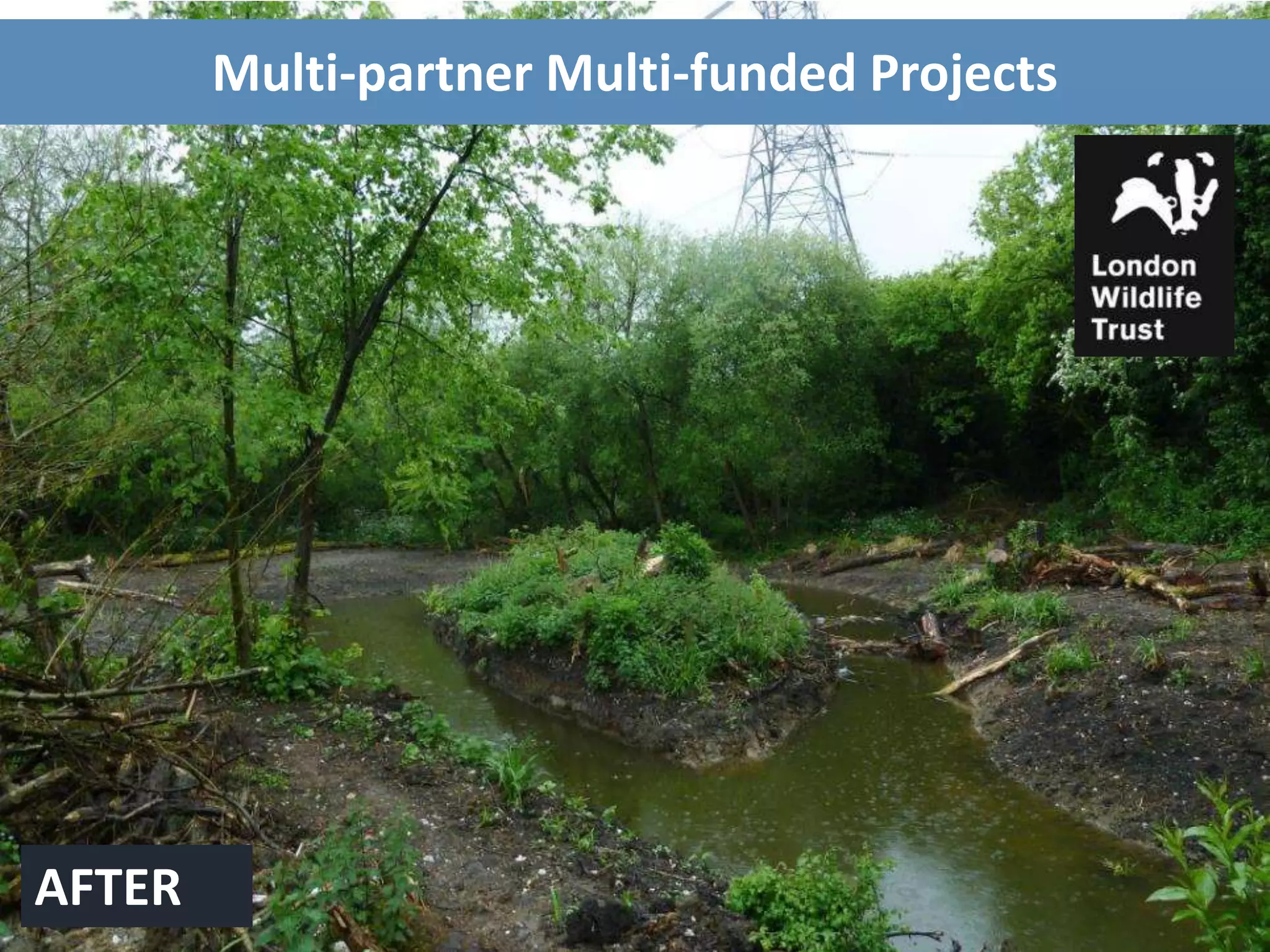Multi-partner Multi-funded Projects
AFTER
 