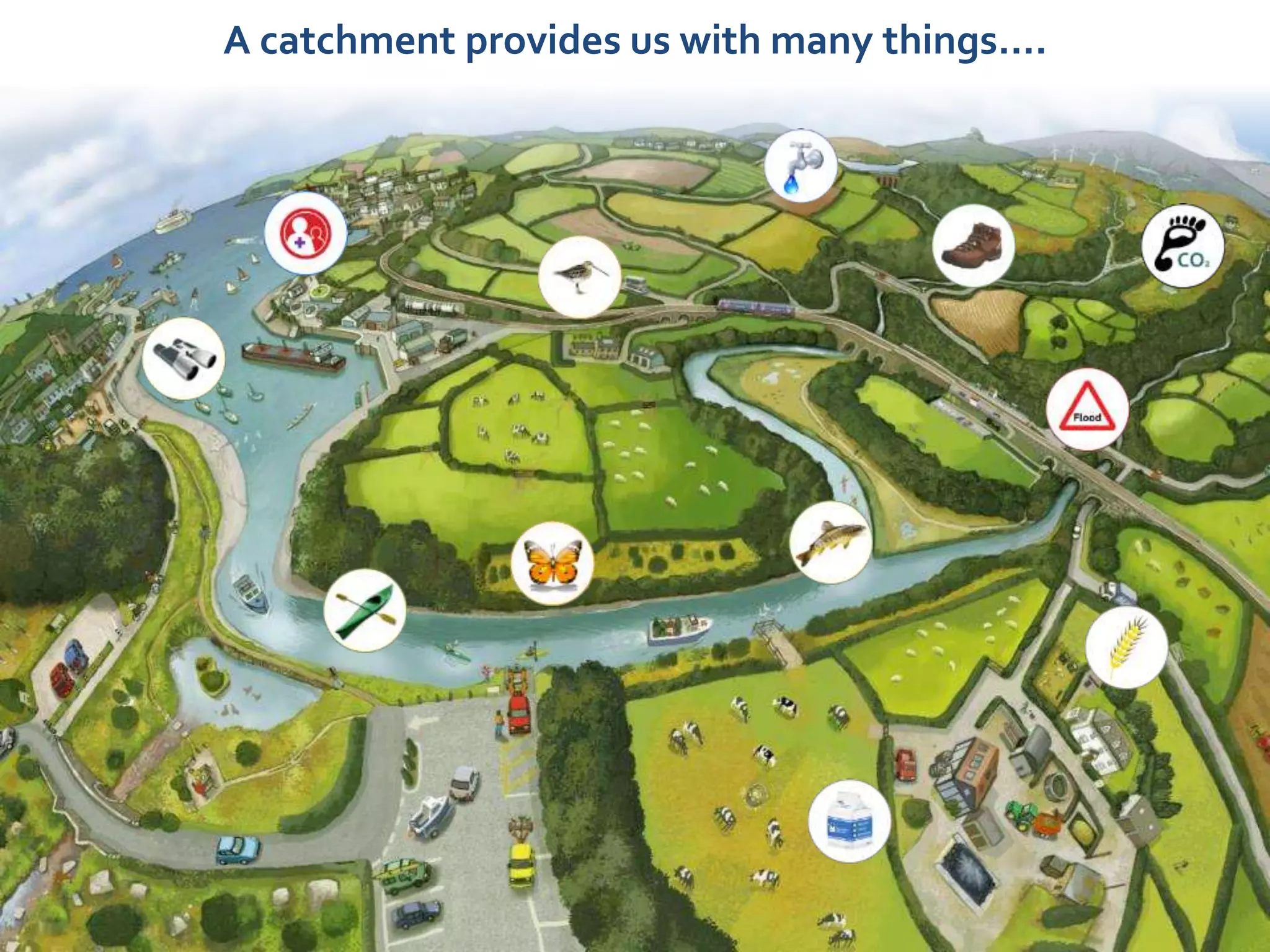 A catchment provides us with many things….
 