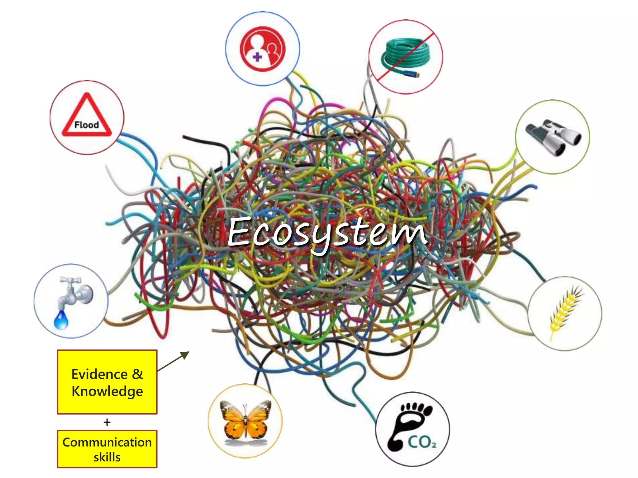 Ecosystem
Evidence &
Knowledge
Communication
skills
+
 