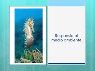 Respuesta al
medio ambiente
 