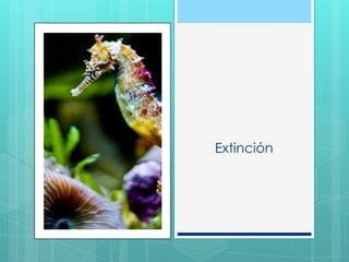 Extinción
 