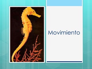 Movimiento
 