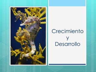 Crecimiento
y
Desarrollo
 