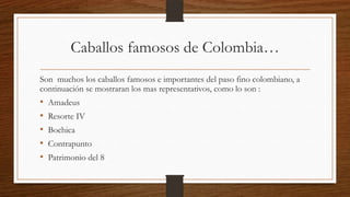 Caballos famosos de Colombia…
Son muchos los caballos famosos e importantes del paso fino colombiano, a
continuación se mostraran los mas representativos, como lo son :
• Amadeus
• Resorte IV
• Bochica
• Contrapunto
• Patrimonio del 8
 