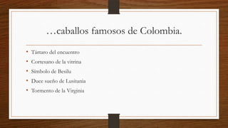 …caballos famosos de Colombia.
• Tártaro del encuentro
• Cortesano de la vitrina
• Símbolo de Besilu
• Duce sueño de Lusitania
• Tormento de la Virginia
 
