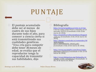
PUNTAJE
 El puntaje acumulado
debe ser al menos de
cuatro de sus hijos
durante todo el año, para
conocer a ciencia cierta si
está transmitiendo sus
cualidades genéticas.
“Una cría para competir
debe tener 36meses de
edad, se evalúa que el
reproductor tenga la
capacidad de transmitir
sus habilidades, dijo




Bibliografía
http://www.larepublica.co/este-es-el-top-
5-de-los-saltos-m%C3%A1s-cotizados-en-el-
mercado_165531 [Consultado el día 25de
marzo de 2016].
http://elcaballoscriollocolombiano.blogspot
.com.co/ [Consultado el día 25 de marzo de
2016].
http://datateca.unad.edu.co/contenidos/30
3020/303020-
2013_ENFORMATO_UNAD.pdf)-
[Consultado el día 25 de marzo de 2016].

 http://www.suscaballos.com/foros/index.
php?topic=25615.0 [Consultado el día 25 de
marzo de 2016].

 http://www.fedequinas.org/fedepedia/el-
caballo-criollo-colombiano/ [Consultado el
día 25 de marzo de 2016].
domingo 24 de abril de 2016 Pedro Chunza Rivera INICIO
 