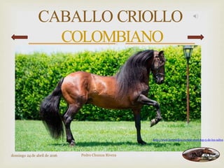 
Pedro Chunza Rivera
CABALLO CRIOLLO
COLOMBIANO
domingo 24 de abril de 2016
http://www.larepublica.co/este-es-el-top-5-de-los-saltos
INICIO
 