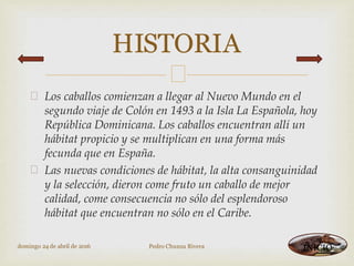 


Los caballos comienzan a llegar al Nuevo Mundo en el
segundo viaje de Colón en 1493 a la Isla La Española, hoy
República Dominicana. Los caballos encuentran allí un
hábitat propicio y se multiplican en una forma más
fecunda que en España.
Las nuevas condiciones de hábitat, la alta consanguinidad
y la selección, dieron come fruto un caballo de mejor
calidad, come consecuencia no sólo del esplendoroso
hábitat que encuentran no sólo en el Caribe.
HISTORIA
domingo 24 de abril de 2016 Pedro Chunza Rivera INICIO
 