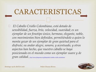 
 El Caballo Criollo Colombiano, está dotado de
sensibilidad, fuerza, brío, velocidad, suavidad; es un
ejemplar de un fenotipo único, hermoso, elegante, noble,
con movimientos bien definidos, permitiéndole a quien lo
monta gozar de un ejemplar de gran quietud para el
disfrute; su andar alegre, sonoro, y acentuado, y otros
aspectos han hecho, que nuestro caballo se haya
posicionado en el mundo como un ejemplar suave y de
gran calidad. http://www.fedequinas.org/fedepedia/el-caballo-criollo-colombiano/
CARACTERISTICAS
domingo 24 de abril de 2016 Pedro Chunza Rivera INICIO
 