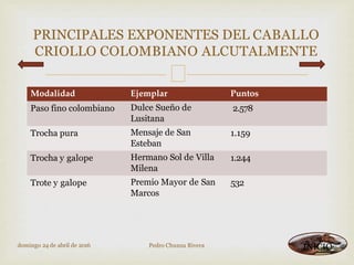 
Modalidad Ejemplar Puntos
Paso fino colombiano Dulce Sueño de
Lusitana
2.578
Trocha pura Mensaje de San
Esteban
1.159
Trocha y galope Hermano Sol de Villa
Milena
1.244
Trote y galope Premio Mayor de San
Marcos
532
PRINCIPALES EXPONENTES DEL CABALLO
CRIOLLO COLOMBIANO ALCUTALMENTE
domingo 24 de abril de 2016 Pedro Chunza Rivera INICIO
 