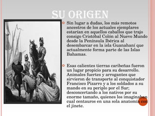 Sin lugar a dudas, los más remotos ancestros de los actuales ejemplares estarían en aquellos caballos que trajo consigo Cristóbal Colón al Nuevo Mundo desde la Península Ibérica al desembarcar en la isla Guanahaní que actualmente forma parte de las Islas Bahamas.  Esas calientes tierras caribeñas fueron un lugar propicio para su desarrollo. Animales fuertes y arrogantes que sirvieron de transporte al conquistador Francisco Pizarro y a los soldados a su mando en su periplo por el Sur; desconcertando a los nativos por su enorme tamaño, quienes los imaginaban cual centauros en una sola anatomía con el jinete. SU ORIGEN 