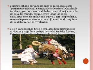 Nuestro caballo peruano de paso es reconocido como "patrimonio nacional y embajador silencioso". Calificado también, gracias a sus cualidades, como el mejor caballo de silla del mundo, porque entre todas las razas caballares es el de andar más suave y con temple firme, necesario para no desamparar al jinete cuando requiere de su determinación y valentía.  No en vano los más finos ejemplares han mostrado sus atributos y orgullosa estirpe por toda América Latina, Estados Unidos, Canadá, y en el Viejo Mundo 