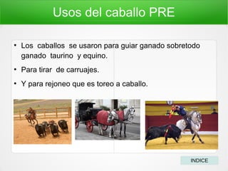Usos del caballo PRE
●
Los caballos se usaron para guiar ganado sobretodo
ganado taurino y equino.
●
Para tirar de carruajes.
●
Y para rejoneo que es toreo a caballo.
INDICE
 