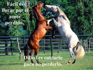 Fácil es llorar por el amor perdido.  Difícil es cuidarlo para no perderlo. 