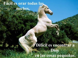 Fácil es orar todas las noches.  Difícil es encontrar a Dios  en las cosas pequeñas. 