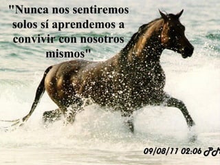 09/08/11   01:55 PM " Nunca nos sentiremos solos sí aprendemos a convivir con nosotros mismos" 