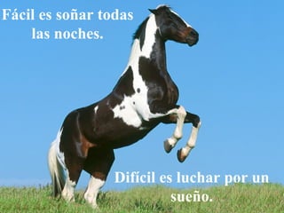 Fácil es soñar todas las noches. Difícil es luchar por un sueño. 
