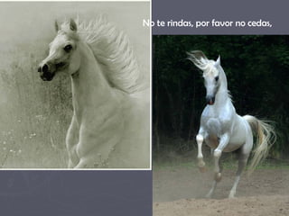 No te rindas, por favor no cedas,  