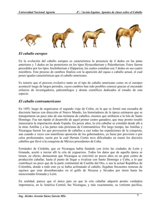 Universidad Nacional Agraria Z♀♂tecnia Equina: Apuntes de clases sobre el Caballo 
El caballo europeo 
En la evolución del caballo europeo es característica la presencia de 4 dedos en las patas 
anteriores y 3 dedos en las posteriores en los tipos Hyracotherium y Paleotherium. Estos fueron 
precedidos por los tipos Anchitherium e Hipparion, los cuales contaban con 3 dedos en sus cuatro 
miembros. Este proceso de cambios finaliza con la aparición del equus o caballo actual, el cual 
posee iguales características que el caballo americano. 
Es notorio que el proceso evolutivo tanto en el tipo de caballo americano como en el europeo 
aconteció luego de largos periodos, cuyos cambios han sido posibles conocer gracias al enconado 
esfuerzo de investigadores, paleontólogos y demás científicos dedicados al estudio de esta 
especie. 
El caballo centroamericano 
En 1493, luego de organizarse el segundo viaje de Colón, en la que se formó una escuadra de 
diecisiete barcos con dirección al Nuevo Mundo, los historiadores de la época estimaron que se 
transportaron un poco más de una treintena de caballos, mismos que arribaron a la Isla de Santo 
Domingo. Fue tan rápido el desarrollo de aquel primer centro ganadero, que muy pronto resultó 
innecesaria la importación desde España. En pocos años, la cría caballar se extendió desde allí a 
la otras Antillas y a las partes más próximas de Centroamérica. Por largo tiempo, las Antillas y 
Nicaragua fueron los que proveyeron de caballos a casi todas las expediciones de la conquista, 
aun cuando a veces con manifiesta oposición de los gobernadores, ya fuese por previsión o por 
celos profesionales, razón por la cual Hernán Cortés tuvo dificultades en reunir los dieciséis 
caballos que llevó a la conquista de México procedentes de Cuba. 
Fernández de Córdoba, que en Nicaragua había fundado con éxito las ciudades de León y 
Granada, acertó a iniciar allí la cría de yeguarizos. Todos los datos que de aquella época se 
tienen, en efecto, demuestran que Nicaragua se convirtió en pocos años en un gran centro de 
producción caballar, hasta el punto de llegar a rivalizar con Santo Domingo y Cuba, a lo que 
contribuyó no poco que de la parte continental de Castilla del Oro, o sea la actual República de 
Colombia, donde a todo esto ya se había aclimatado el caballo, llegaban frecuentes remesas de 
equinos que eran desembarcados en el golfo de Nicuesa y llevados por tierra hasta las 
mencionadas Granada y León. 
En realidad, parece que el único país en que la cría caballar adquirió pronto verdadera 
importancia, en la América Central, fue Nicaragua, y más exactamente, su vertiente pacífica, 
Ing. Alcides Arsenio Sáenz García MSc 7 
 
