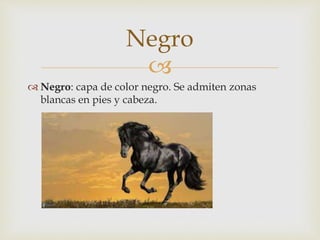 Negro 
 
 Negro: capa de color negro. Se admiten zonas 
blancas en pies y cabeza. 
 