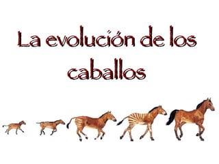 La evolución de los caballos 