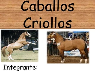 Caballos
     Criollos

Integrante:
 
