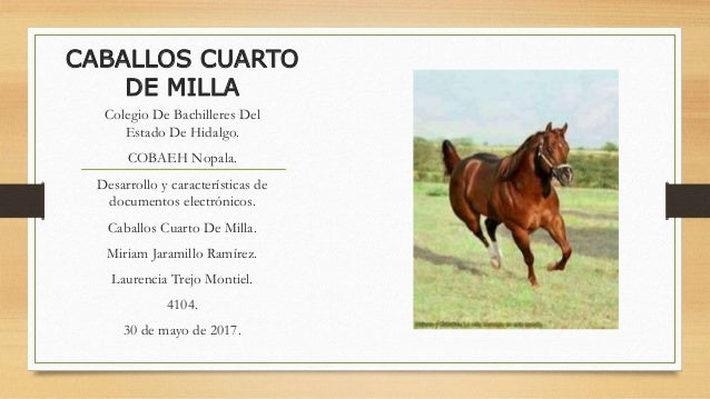 Caballos cuarto de milla Caballos cuarto de milla