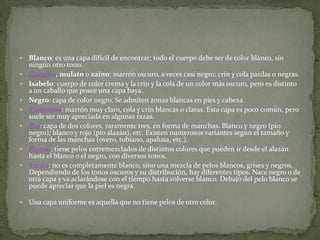    Blanco: es una capa difícil de encontrar; todo el cuerpo debe ser de color blanco, sin
    ningún otro tono.
   Castaño, mulato o zaino: marrón oscuro, a veces casi negro; crin y cola pardas o negras.
   Isabelo: cuerpo de color crema y la crin y la cola de un color más oscuro, pero es distinto
    a un caballo que posee una capa baya.
   Negro: capa de color negro. Se admiten zonas blancas en pies y cabeza.
   Palomino: marrón muy claro, cola y crin blancas o claras. Esta capa es poco común, pero
    suele ser muy apreciada en algunas razas.
   Pío: capa de dos colores, raramente tres, en forma de manchas. Blanco y negro (pío
    negro); blanco y rojo (pío alazán), etc. Existen numerosos variantes según el tamaño y
    forma de las manchas (overo, tobiano, apalusa, etc.).
   Ruano: tiene pelos entremezclados de distintos colores que pueden ir desde el alazán
    hasta el blanco o el negro, con diversos tonos.
   Tordo: no es completamente blanco, sino una mezcla de pelos blancos, grises y negros.
    Dependiendo de los tonos oscuros y su distribución, hay diferentes tipos. Nace negro o de
    otra capa y va aclarándose con el tiempo hasta volverse blanco. Debajo del pelo blanco se
    puede apreciar que la piel es negra.

   Una capa uniforme es aquella que no tiene pelos de otro color.
 