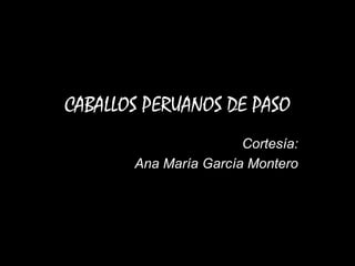 CABALLOS PERUANOS DE PASO
Cortesía:
Ana María García Montero

 