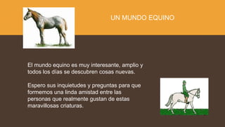 El mundo equino es muy interesante, amplio y
todos los días se descubren cosas nuevas.
Espero sus inquietudes y preguntas para que
formemos una linda amistad entre las
personas que realmente gustan de estas
maravillosas criaturas.
UN MUNDO EQUINO
 