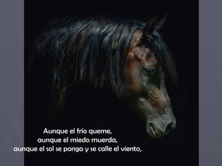 Aunque el frío queme,  aunque el miedo muerda,  aunque el sol se ponga y se calle el viento,  