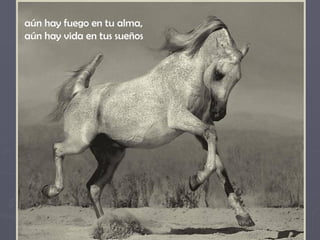 aún hay fuego en tu alma,  aún hay vida en tus sueños 