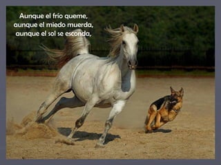 Aunque el frío queme,  aunque el miedo muerda,  aunque el sol se esconda,  