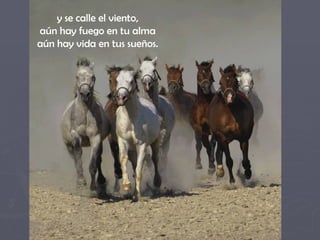 y se calle el viento,  aún hay fuego en tu alma  aún hay vida en tus sueños.  