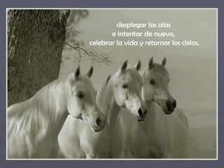 desplegar las alas
       e intentar de nuevo,
celebrar la vida y retomar los cielos.
 