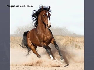 Porque no estás sola.
 