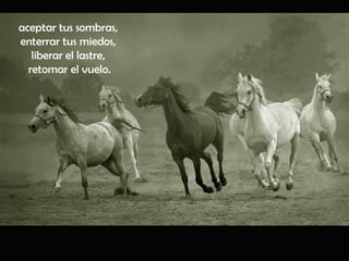 aceptar tus sombras,
enterrar tus miedos,
   liberar el lastre,
  retomar el vuelo.
 