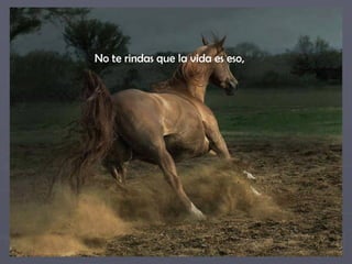 No te rindas que la vida es eso,
 