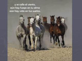 y se calle el viento,
aún hay fuego en tu alma
aún hay vida en tus sueños.
 