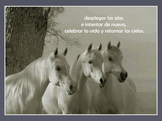 desplegar las alas
       e intentar de nuevo,
celebrar la vida y retomar los cielos.
 