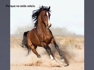 Porque no estás sola/o.
 