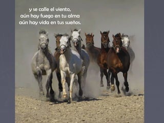 y se calle el viento,
aún hay fuego en tu alma
aún hay vida en tus sueños.
 