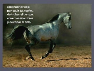 continuar el viaje,  perseguir tus sueños,  destrabar el tiempo,  correr los escombros  y destapar el cielo.  