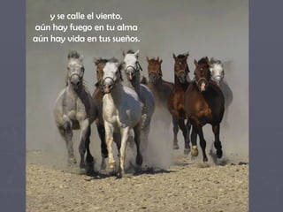 y se calle el viento,  aún hay fuego en tu alma  aún hay vida en tus sueños.  