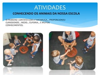 CONHECENDO OS ANIMAIS DA NOSSA ESCOLA
O PRIMEIRO CONTATO COM A TARTARUGA... PROPORCIONOU
CURIOSIDADE... MEDO... EUFORIA... E MUITOS
CONHECIMENTOS.
ATIVIDADES
 