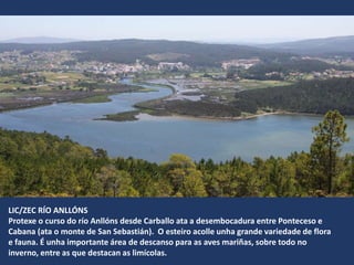 LIC/ZEC RÍO ANLLÓNS
Protexe o curso do río Anllóns desde Carballo ata a desembocadura entre Ponteceso e
Cabana (ata o monte de San Sebastián). O esteiro acolle unha grande variedade de flora
e fauna. É unha importante área de descanso para as aves mariñas, sobre todo no
inverno, entre as que destacan as limícolas.
 