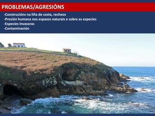 PROBLEMAS/AGRESIÓNS
-Construcións na liña de costa, recheos
-Presión humana nos espazos naturais e sobre as especies
-Especies invasoras
-Contaminación
 