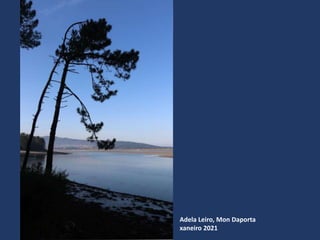 Adela Leiro, Mon Daporta
xaneiro 2021
 