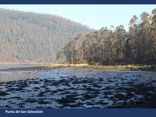 Punta de San Sebastián
 