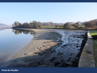 Praia do Pendón
 